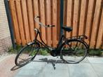 Ranger, 56 cm of meer, Ophalen, Gebruikt, Ranger