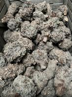 Voor de draaibank Plataan knot knollen droog 20/30 cm, Ophalen, Nieuw, Houtdraaibank