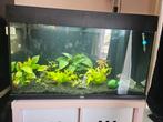 Juwel Rio 125L aquarium, Dieren en Toebehoren, Vissen | Aquaria en Toebehoren, Ophalen, Gebruikt, Gevuld zoetwateraquarium