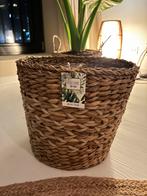 New plant pot 32cm, Ophalen, Overige materialen, Minder dan 30 cm, Rond