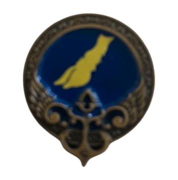 *GEZOCHT* Efteling wonder hotel magneet-pin beschikbaar voor biedingen