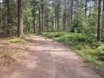 Gezocht! Paddock met inloopstal omgeving amersfoort, Dieren en Toebehoren, Stalling en Weidegang