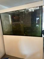 Groot aquarium, Dieren en Toebehoren, Vissen | Aquaria en Toebehoren, Ophalen, Leeg aquarium