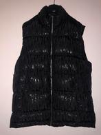 Bodywarmer Dior, Kleding | Heren, Bodywarmers, Ophalen of Verzenden, Nieuw, Zwart