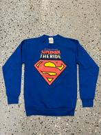 Six Flags holland trui Superman the ride, Verzamelen, Ophalen of Verzenden, Zo goed als nieuw, Kleding