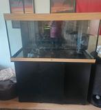 Juwel Rio 350 LED Aquarium 120cm, 350 liter, plus meubel, Dieren en Toebehoren, Vissen | Aquaria en Toebehoren, Ophalen, Gebruikt