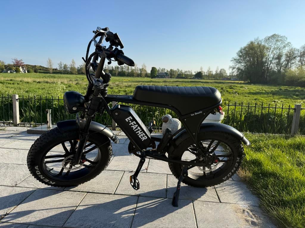 E-father V8 C80 La Souris E-bike - 1 jaar oud, 2800 km, Fietsen en Brommers, Overige merken, Minder dan 30 km per accu, Ophalen of Verzenden