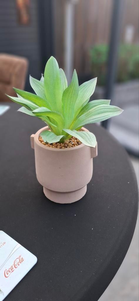 Kleine Kunstplant in Pot - Groen, Huis en Inrichting, Woonaccessoires | Kunstplanten en Kunstbloemen, Ophalen of Verzenden