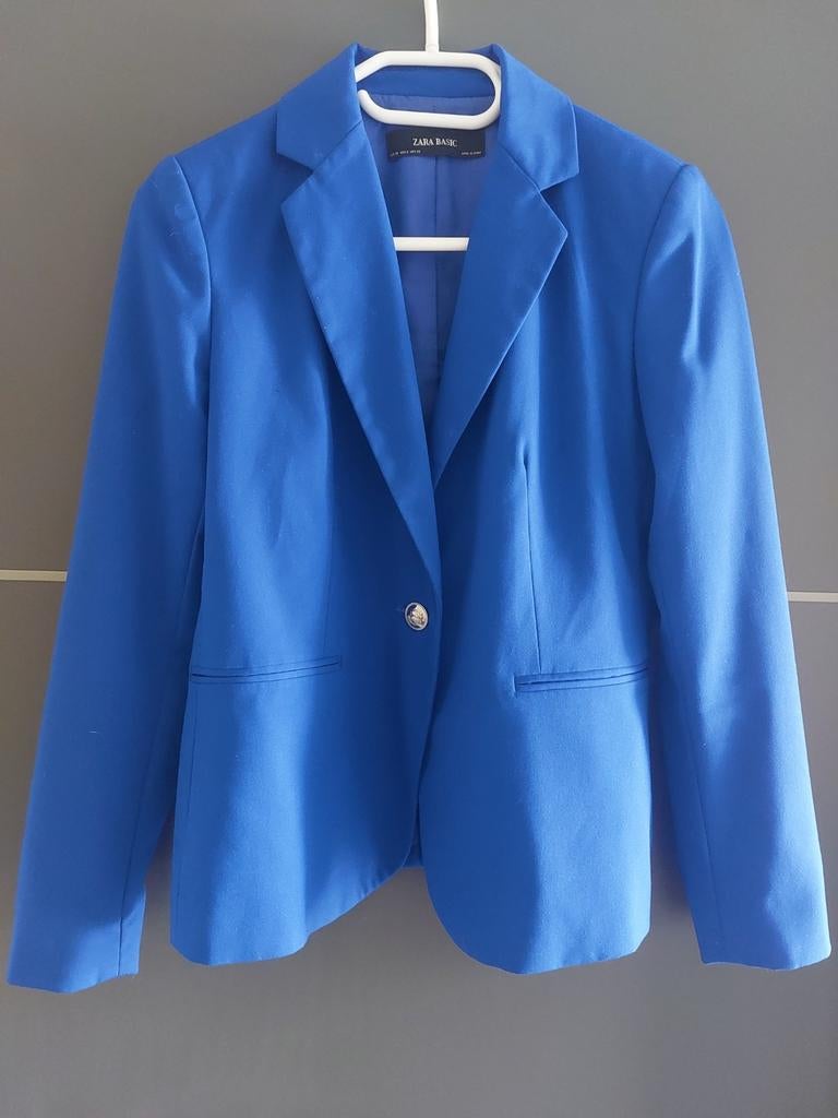 Mooi kolbert van de Zara, Kleding | Dames, Ophalen of Verzenden, Zo goed als nieuw, Blauw