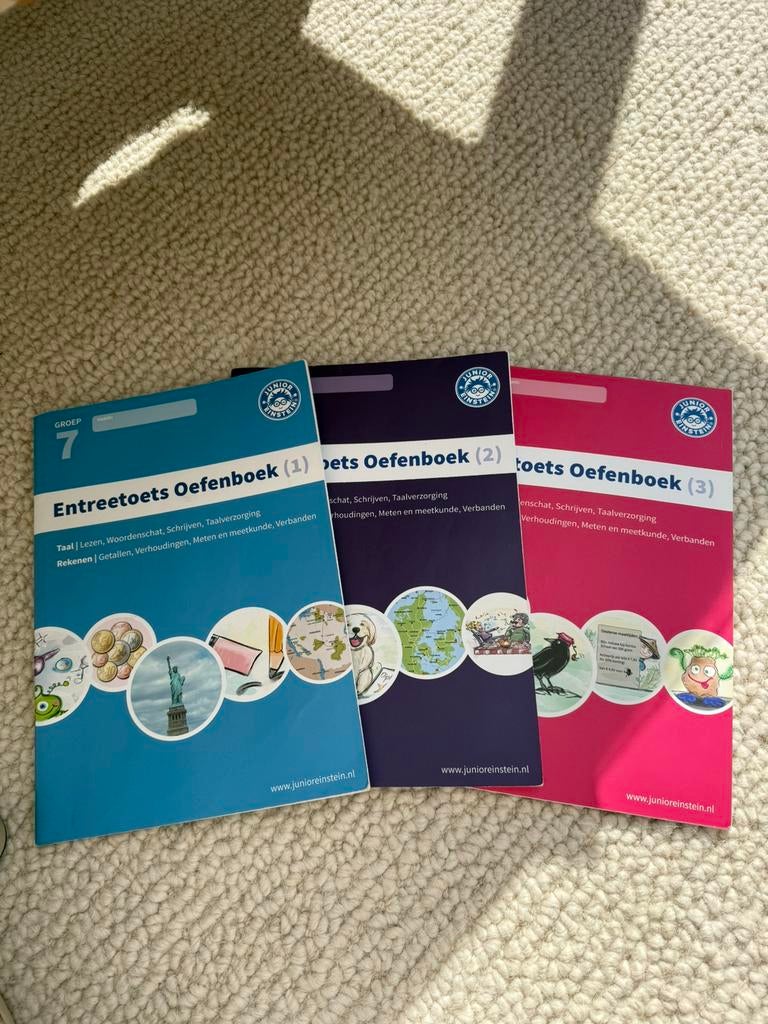 Junior einstein entreetoets oefenboek groep 7, Ophalen of Verzenden, Zo goed als nieuw, Overige niveaus, Nederlands