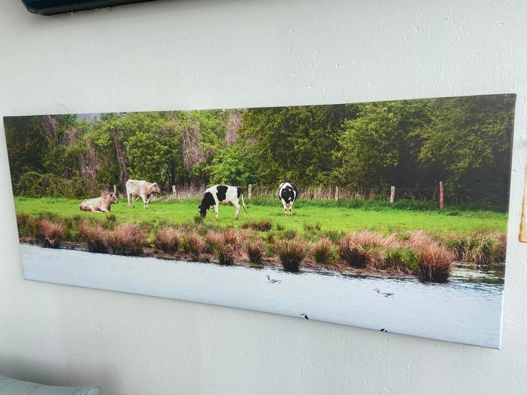 Canvas Schilderij Koeien aan de Waterkant, Ophalen of Verzenden, Zo goed als nieuw, Schilderij, 100 tot 125 cm