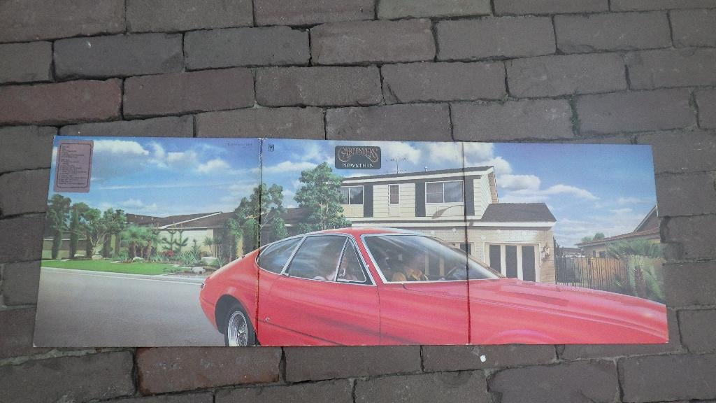 LP the carpenters, Ophalen of Verzenden, Gebruikt, 12 inch