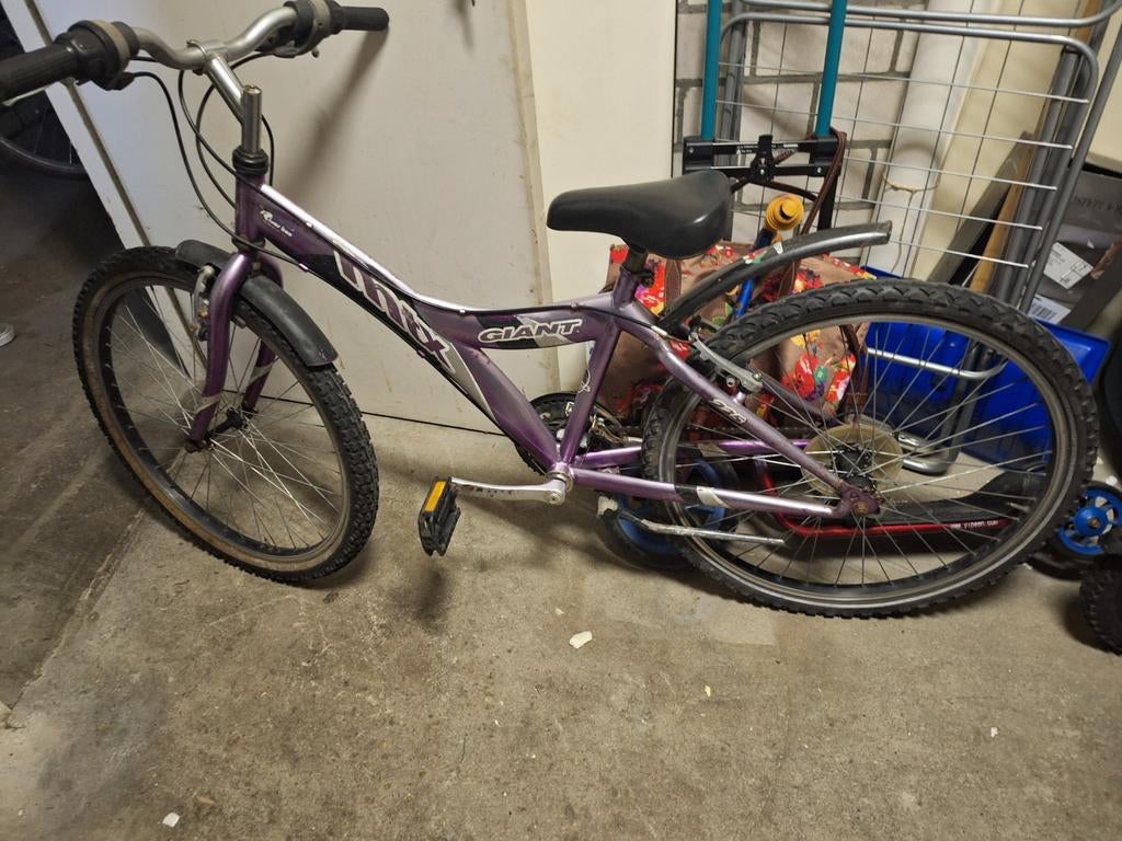 Leuke meisjesfiets 22/24 inch ., Ophalen, Minder dan 10 versnellingen, Gebruikt, Minder dan 49 cm