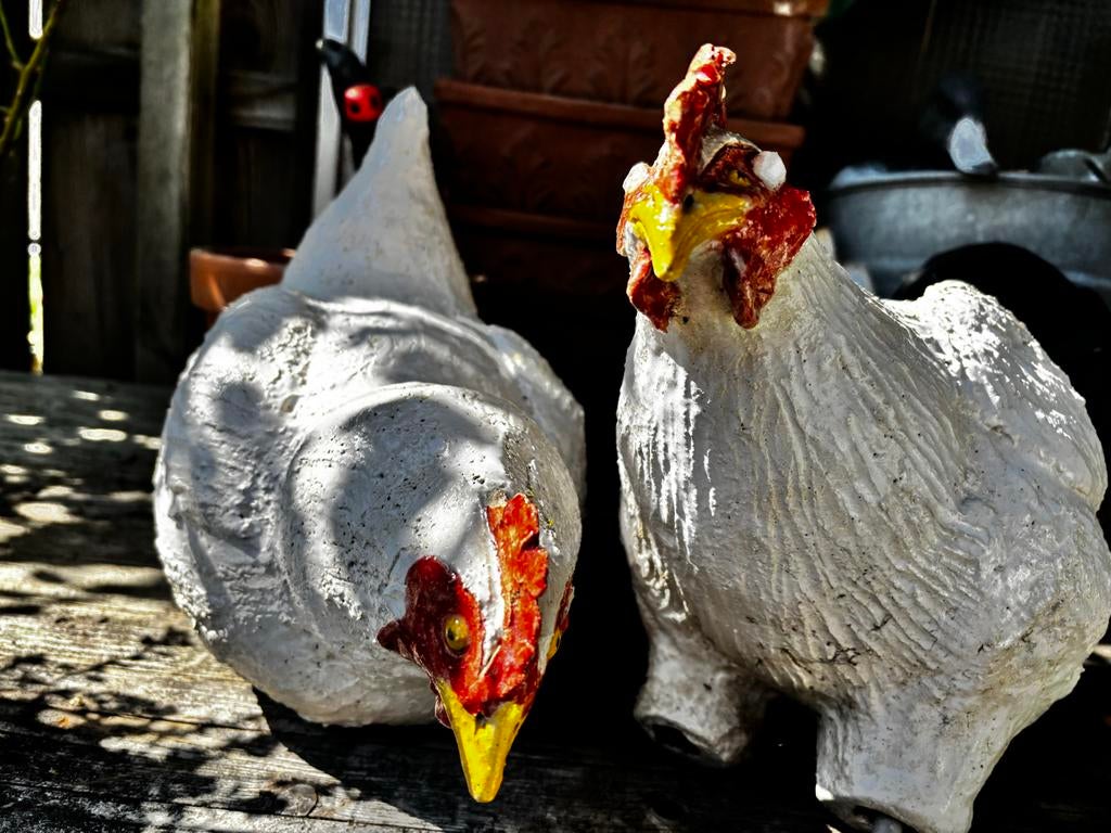 Set van 2 aardwerken kippen voor in de tuin, Tuin en Terras, Ophalen, Gebruikt, Overige materialen, Dierenbeeld