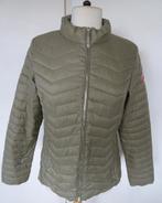 JAS VAN NORFY MAAT M, Maat 38/40 (M), Ophalen of Verzenden, Zo goed als nieuw, NORFY