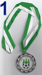 Mr203 carnavals medaille wies jrung vc vols ( vaals ) 2013, Ophalen of Verzenden, Overige materialen