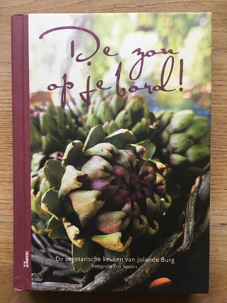 De zon op je bord!, 	Jolande Burg, 	11, Ophalen of Verzenden, Zo goed als nieuw, Frankrijk, Vegetarisch