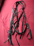 Hoofdstel maat Full, Dieren en Toebehoren, Ophalen of Verzenden, Nieuw, Dressuur