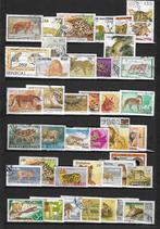 Katachtigen wilde katten postzegels., Verzenden, Gestempeld, Dier of Natuur