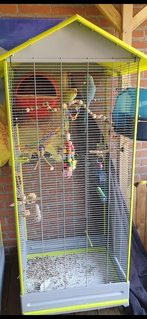 Volière 2x, Ophalen, Overige typen