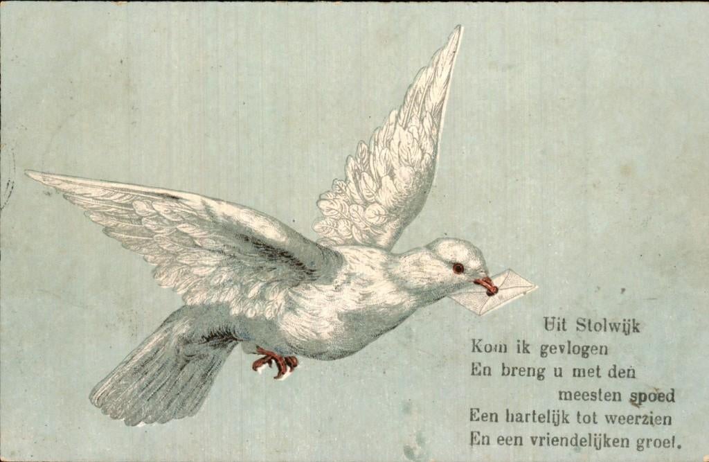 Stolwijk - Duif - Met brief, Ophalen of Verzenden, Voor 1920, Gelopen, Zuid-Holland