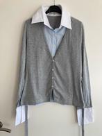 Rene van der Wijck blouse maat 40, Ophalen of Verzenden, Gedragen, Maat 38/40 (M), Grijs