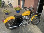 Sportster 1200 custom, Motoren, Motoren | Harley-Davidson, 2 cilinders, Particulier, Meer dan 35 kW, 1200 cc
