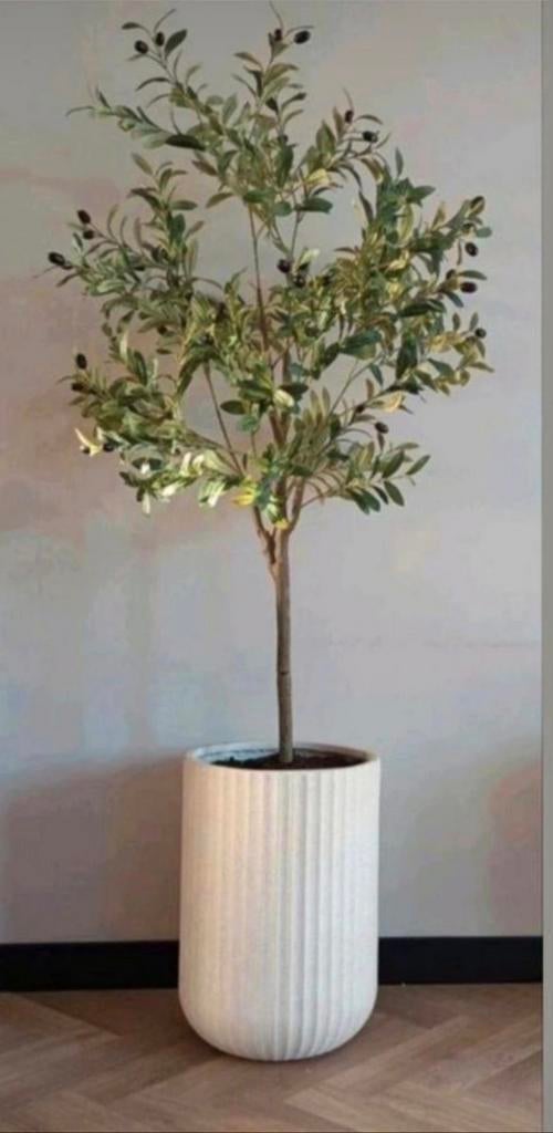 Prachtige grote kunst olijfboom, Huis en Inrichting, Ophalen of Verzenden