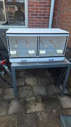 Kweekkooi, Dieren en Toebehoren, Vogels | Hokken en Kooien, Ophalen, Zo goed als nieuw, Kunststof, Broedkooi of Kweekkooi