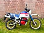 Honda XL600LM 1986 elek. + kickstart! Oldtimer Technisch top, Enduro, 600 cc, 1 cilinder, 12 t/m 35 kW