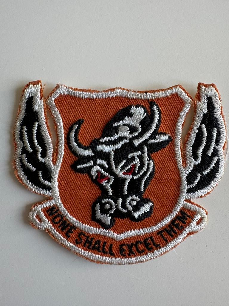 USAF 13th Fighter Interceptor Squadron  patch, Ophalen of Verzenden, Luchtmacht, Amerika, Embleem of Badge