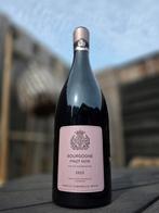 Bourgogne Pinot Noir 2023, Frankrijk, Nieuw, Ophalen of Verzenden, Rode wijn