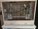2 parkieten met ruime vogelkooi - compleet, Dieren en Toebehoren, Vogels | Parkieten en Papegaaien, Meerdere dieren, Parkiet