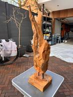 Uniek Houten Sierstuk / Driftwood Decoratie, Ophalen