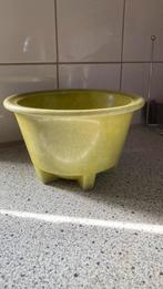 A.D. Copier cactuspot, Ophalen of Verzenden