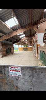 Pensionstalling met vrije uitloop aangeboden, Weidegang, 2 of 3 paarden of pony's