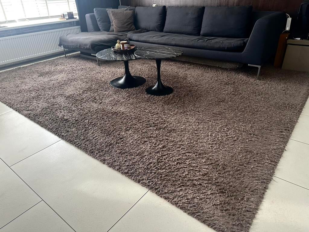 Hoogpolig vloerkleed bruin 300 x 400 cm, Ophalen, Bruin, 200 cm of meer, Zo goed als nieuw