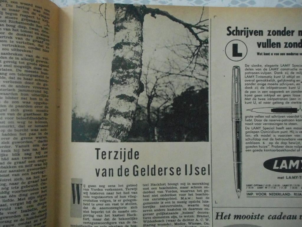 Vorden. Terzijde van de Gelderse IJsel. 1963., Ophalen of Verzenden, 1960 tot 1980, Nederland, Knipsel(s)