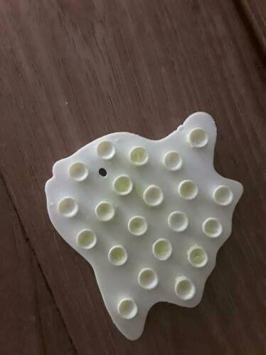 Vis - visje - onderlegger - voor verzamelaar vis voorwerpen, Ophalen of Verzenden, Gebruikt, Overige soorten, Overige typen