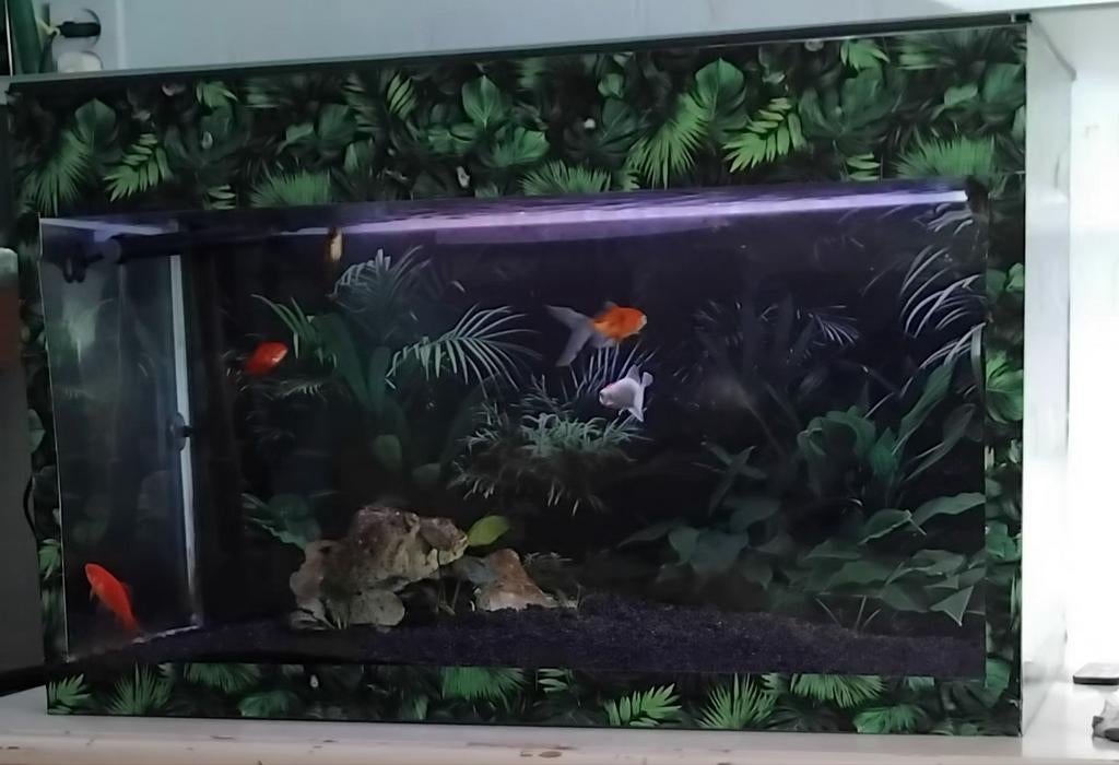 Aquarium, Dieren en Toebehoren, Vissen | Aquaria en Toebehoren, Ophalen, Gebruikt, Leeg aquarium, Overige merken