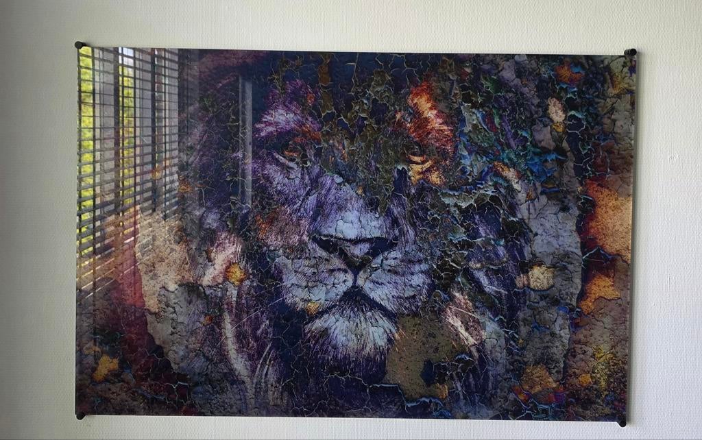 Grote plexiglas wanddecoratie leeuw 120x80 cm – modern, Huis en Inrichting, Woonaccessoires | Schilderijen, Tekeningen en Foto's