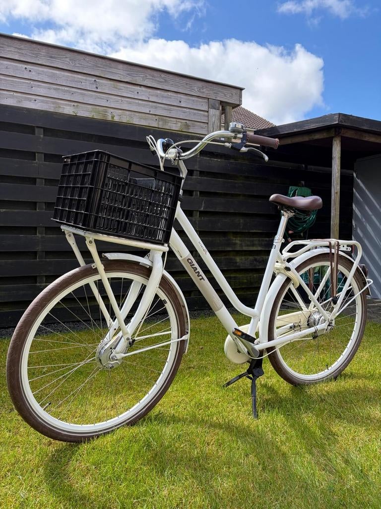 Giant triple x nexus 7 maat L, Ophalen, Gebruikt, Versnellingen, Trommelrem