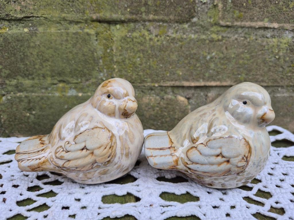 2 vogeltjes, Ophalen of Verzenden, Zo goed als nieuw, Dier