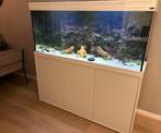 Prachtig !! Aqualantis aquarium 151x50x60 (450L), Dieren en Toebehoren, Vissen | Aquaria en Toebehoren, Ophalen, Zo goed als nieuw
