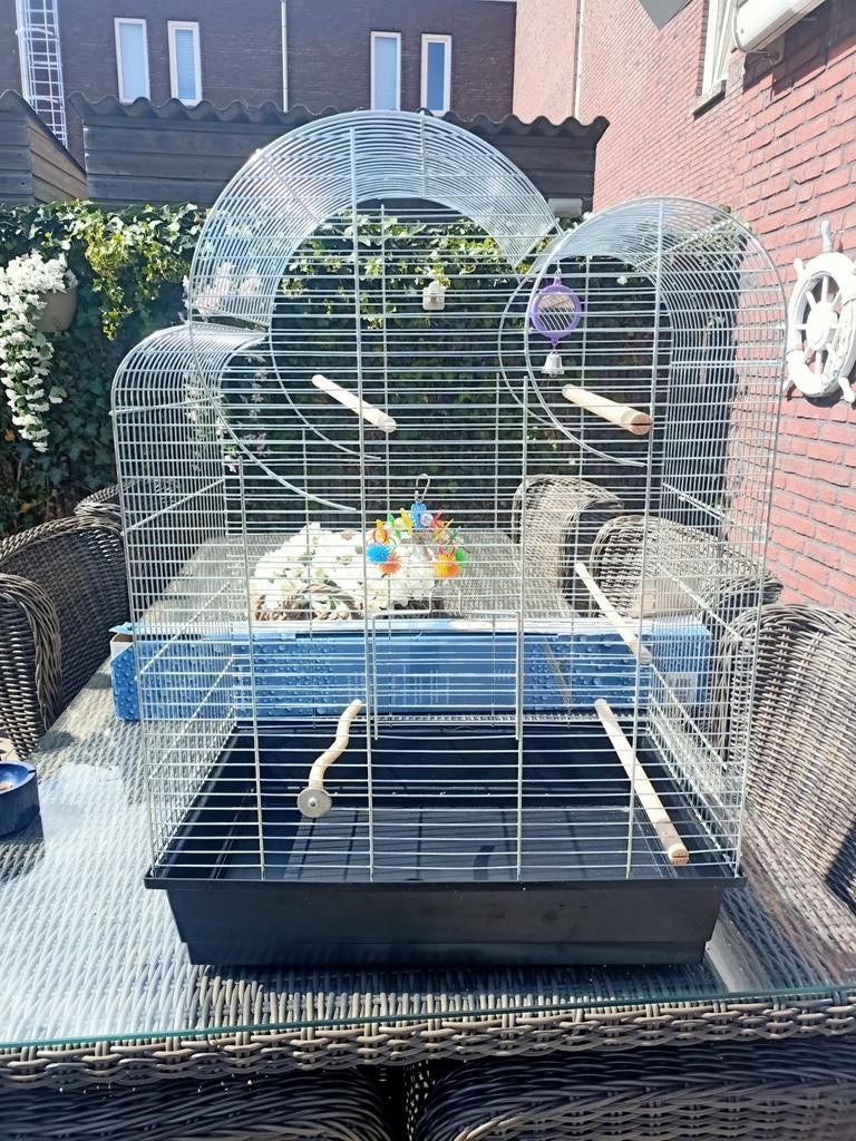 Vogelkooi, Dieren en Toebehoren, Vogels | Hokken en Kooien, Ophalen