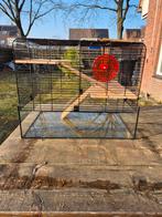 Hok, Ophalen, Hok, Minder dan 60 cm