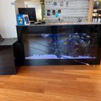 St. Croix Legend Tournament Bass Series TBC711HMF Hengel NEW, Ophalen of Verzenden, Gebruikt, Werphengel