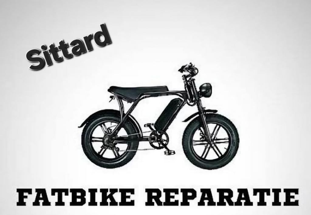 Fatbike Reparatie Sittard, Fietsen en Brommers, Elektrische fietsen, Ophalen of Verzenden, Overige merken