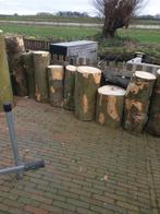 Partij haardhout kachelhout eiken houten stammen!!!!, Minder dan 3 m³, Ophalen