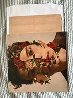 Lp Shawn Mendes, 2010 - 2019, Ophalen of Verzenden, Zo goed als nieuw, 12 inch